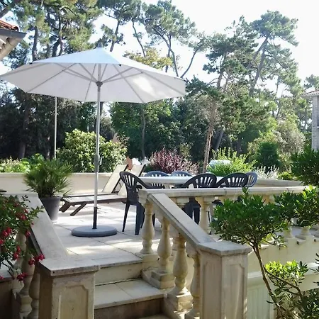 Les Ecureuils Du Parc A 400 M De La Plage Royan